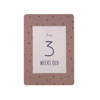 Baby Milestone Cards - Milk&Honey Brand - Milestone Cards, baby-milestone-cards, 